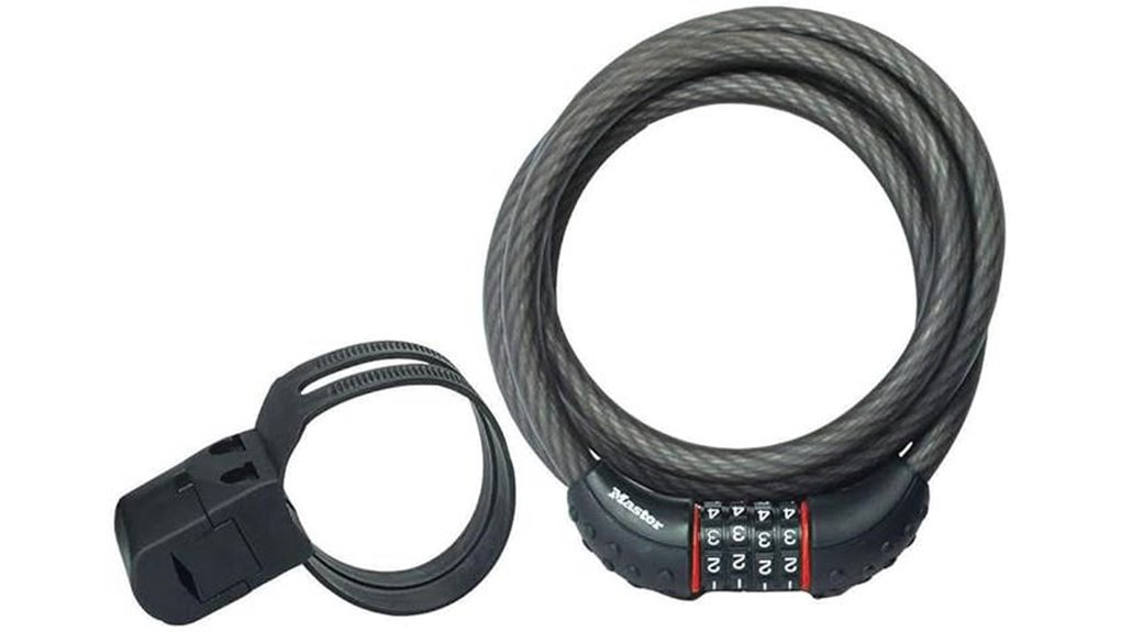black 6ft cable lock