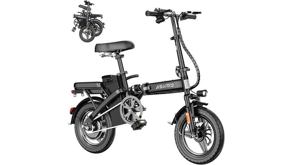 powerful electric bike model
