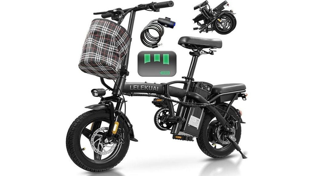 powerful electric bike option